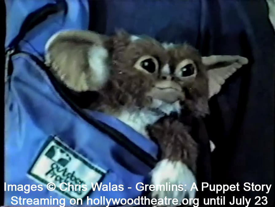 112337812_2499517797024988_2319385536952162669_n