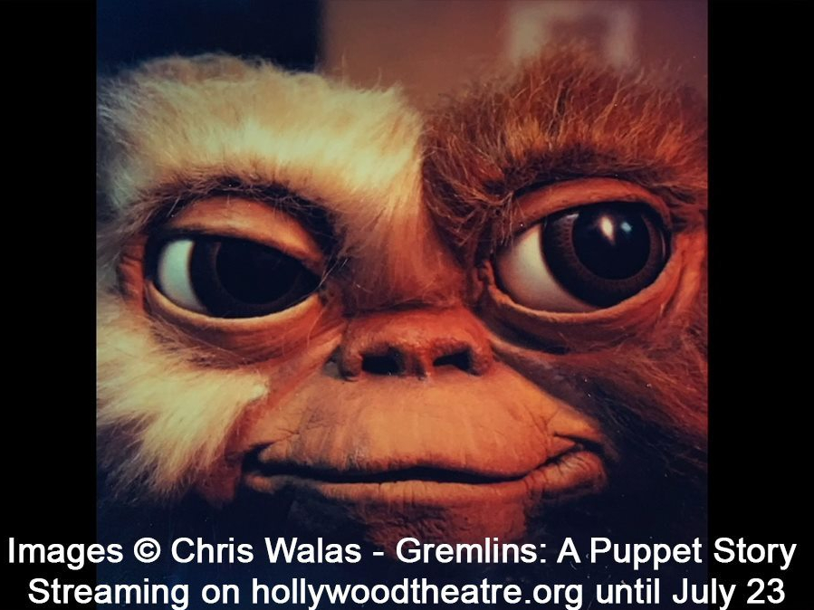 112720099_757085425094482_3840990431759008384_n