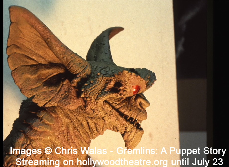 115896119_333969100933845_8853517027414888403_n